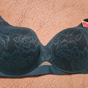 Elegant Lace Teal Bra